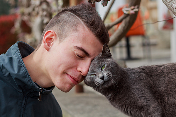 Cat Headbutting